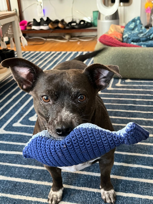 Fish Dog Toy Pattern