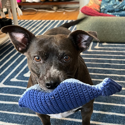 Fish Dog Toy - Easy PDF Crochet Pattern